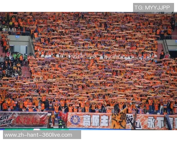 热血沸腾的足球比赛门票如何购买和选择最佳观赛体验指南